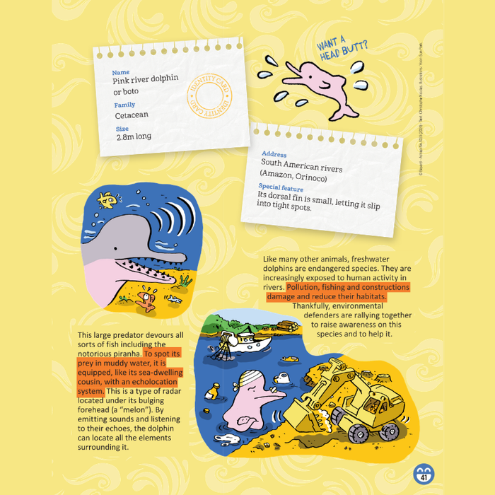 AdventureBox MAX! Ages 9 - 14