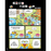 紅蘋果 Red Apple: Ages 6-10
