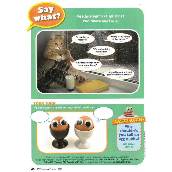 OWL: Ages 9-13 (8 issues)