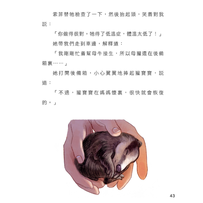書之谷 StoryLand: Ages 9-14