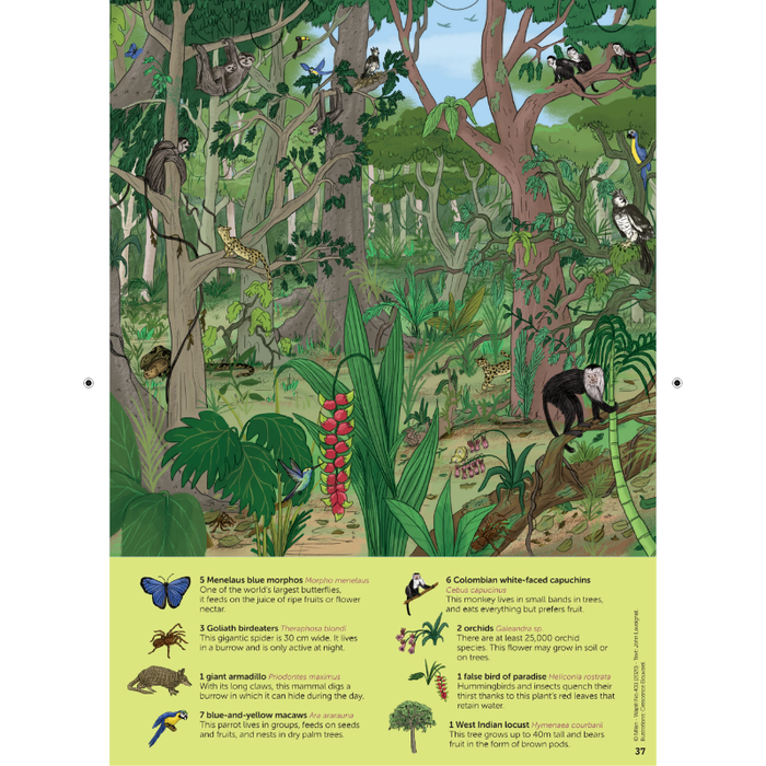 DiscoveryBox (English/英文): Ages 7-14