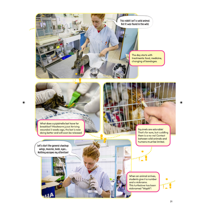 DiscoveryBox (English/英文): Ages 7-14