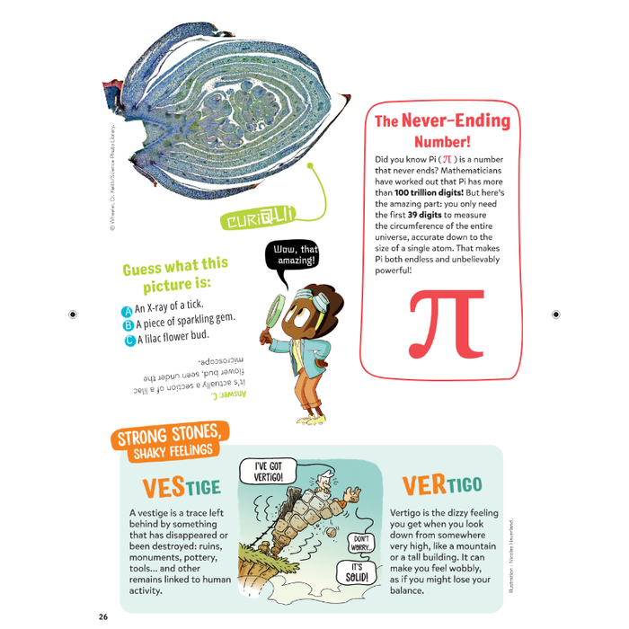 DiscoveryBox (English/英文): Ages 7-14