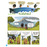 AdventureBox MAX! Ages 9 - 14