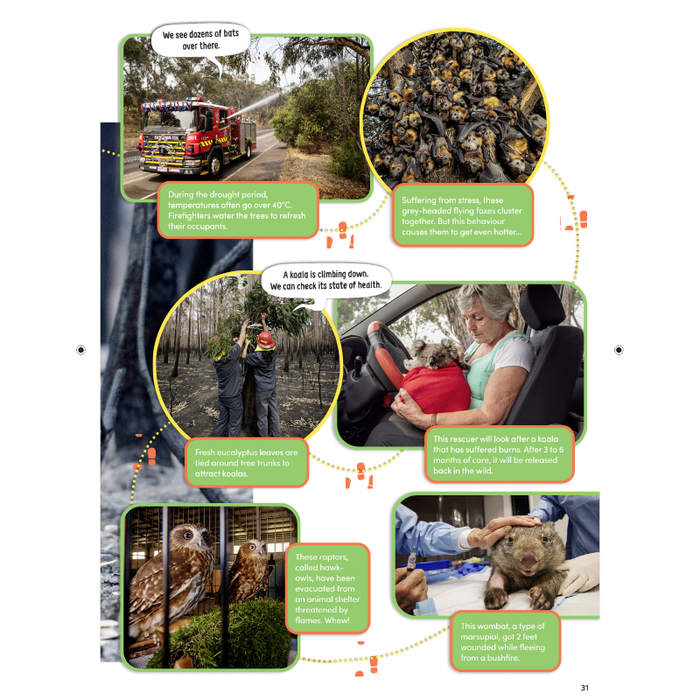 DiscoveryBox (English/英文): Ages 7-14