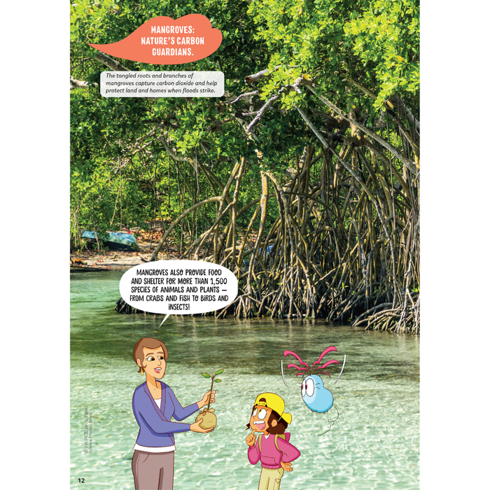 DiscoveryBox (English/英文): Ages 7-14