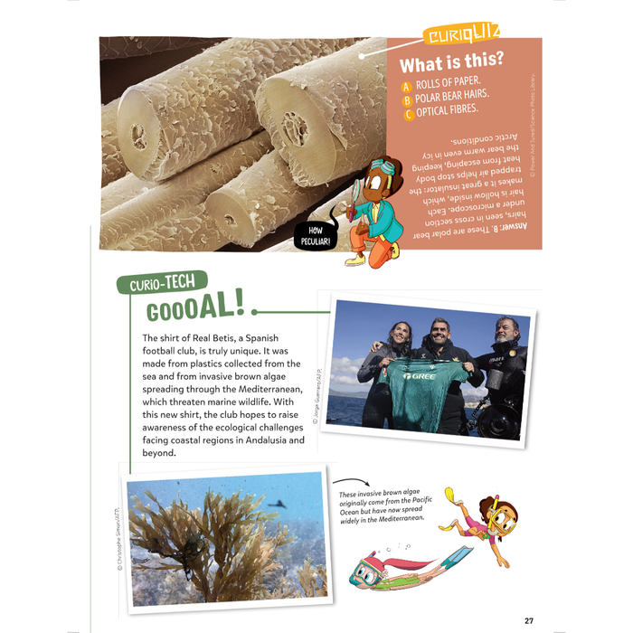 DiscoveryBox (English/英文): Ages 7-14