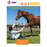 DiscoveryBox (English/英文): Ages 7-14