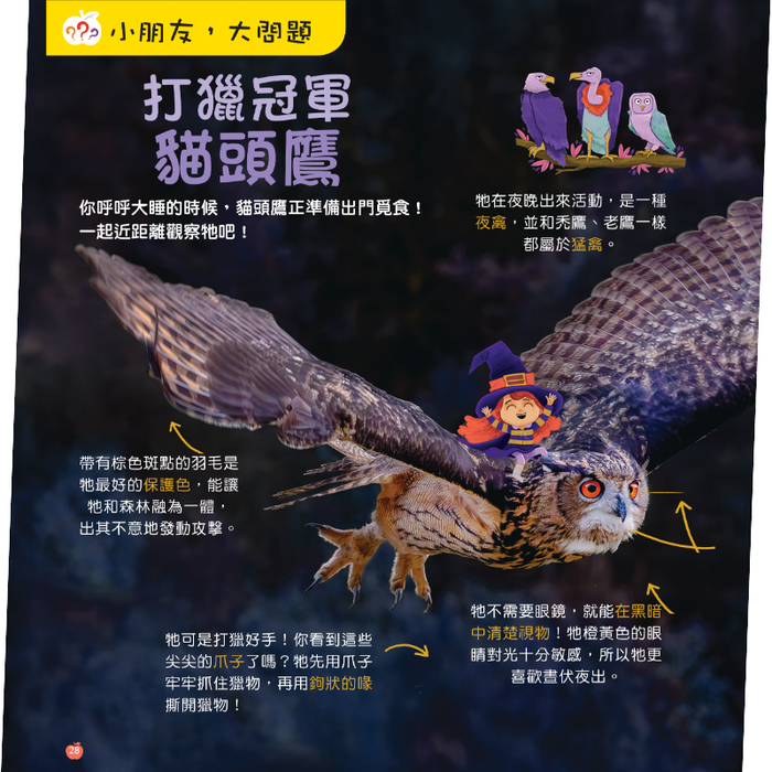 小小紅蘋果 Little Red Apple: Ages 3 - 8